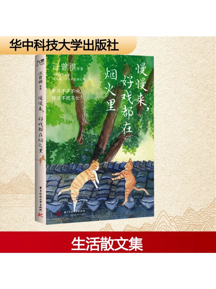 

Книга-Winshare Примите свое время, лучшие детали в фейерверках