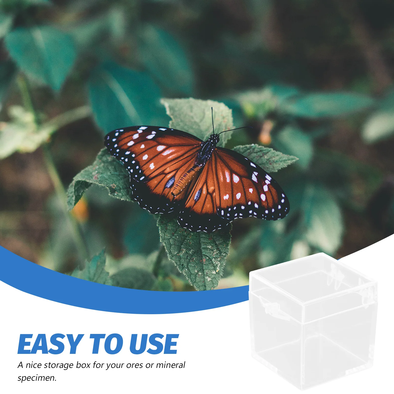 

12 Pcs Transparent Storage Box Gemstone Display Case Specimen Container Boxes Outer Diameter Cube Plastic