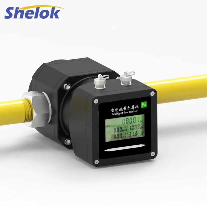 Shelok Waist Wheel Natural Flange Type Nitrogen Methane Lpg Natural Gas flow meter roots flowmeter