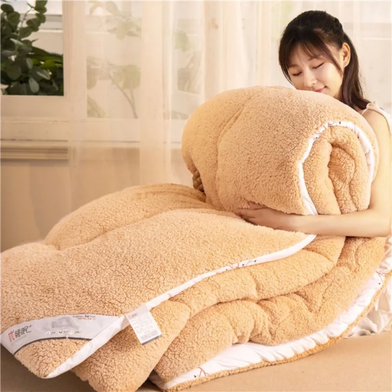 

New Super Warm Lamb Quilt Winter Blanket 5kg Double-Sided Velvet Quilt Thickened Warm Autumn Spring Plush Comforter Core