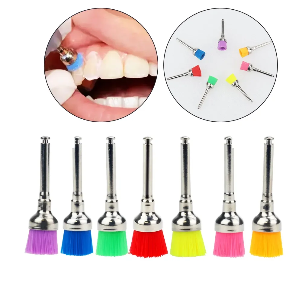 Dental Material Bowl Shape Brush Dental Prophy Brush Nylon Polishing Brush Dental Use 50/100/200Pcs