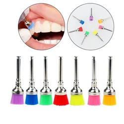 Forma tigela escova dental material dental prophy escova escova de polimento de nylon uso dental 50/100/200pcs