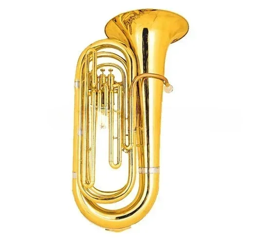 High Grade Brass Bb Key Plastic Tuba/ Brass Instrument