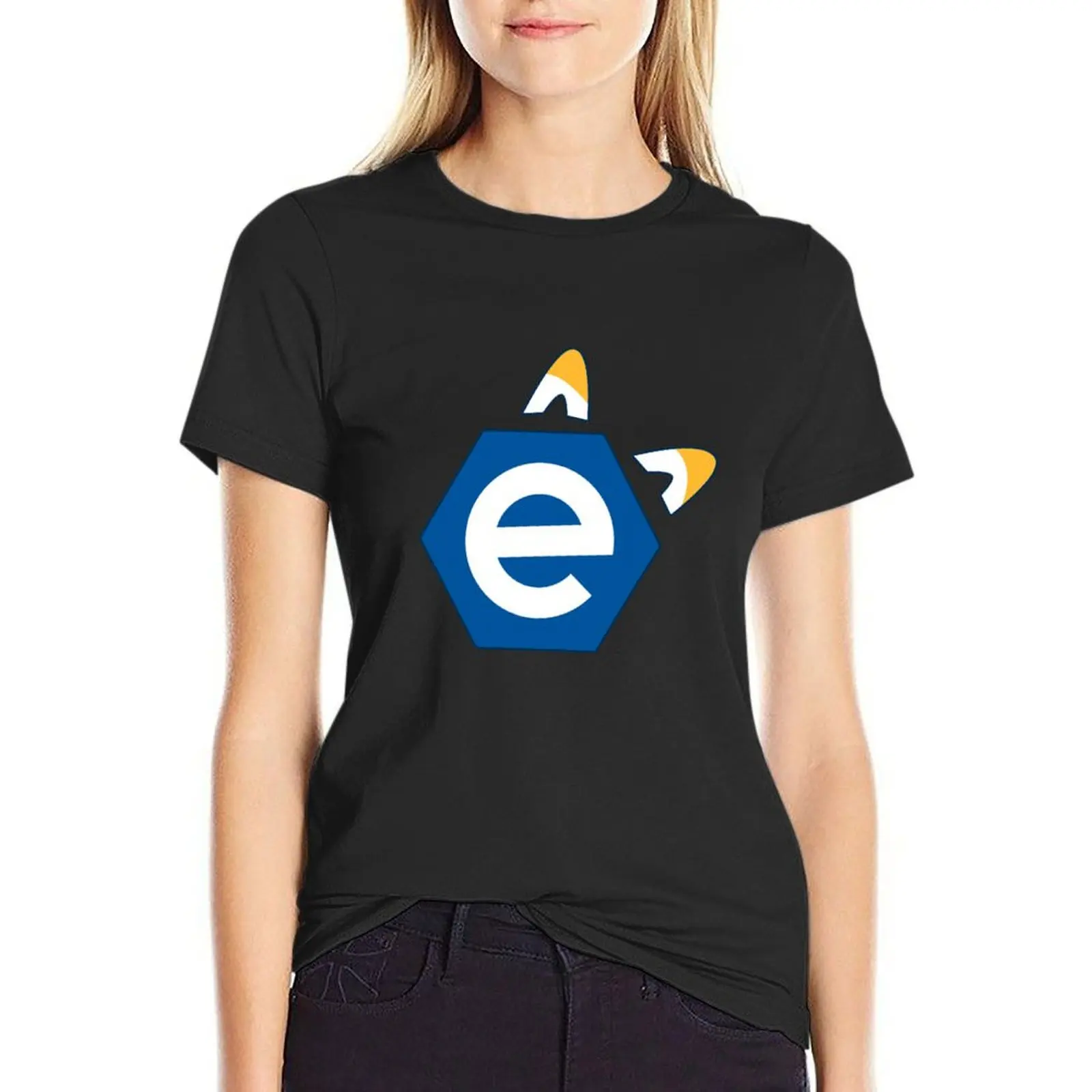 

e621 Insignia T-Shirt female Aesthetic clothing blacks t shirts for Women graphic