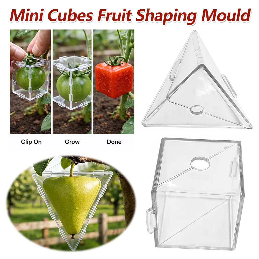 Mini Cube Fruit Shaping Mould  - Gardening Tools Unique ulasan dan harga