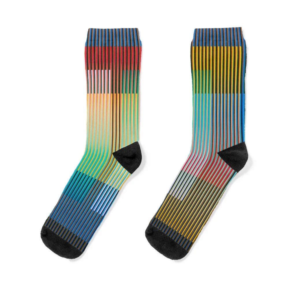 

Carlos Cruz Diez Socks Stockings custom sports winter thermal designer Socks Girl Men's