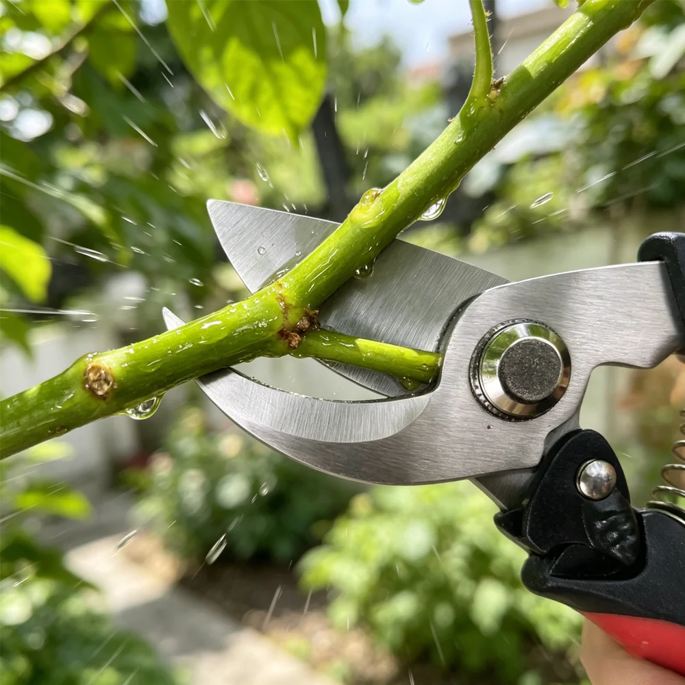 Stainless Steel Multipurpose Garden Pruning Scissors Hand Tool for Fruit Tree Trimming Grafting Grape Picking Picking Work