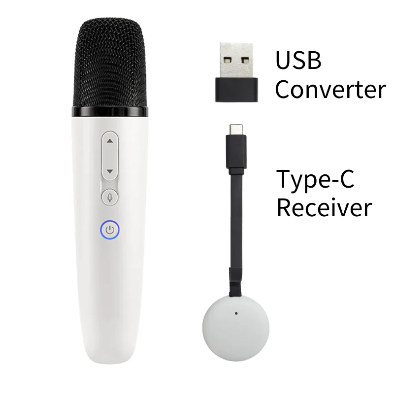 Q1-Tesla 車カラオケマイク Tesla Model Y/3/X/Cybertruck 用、USB-A