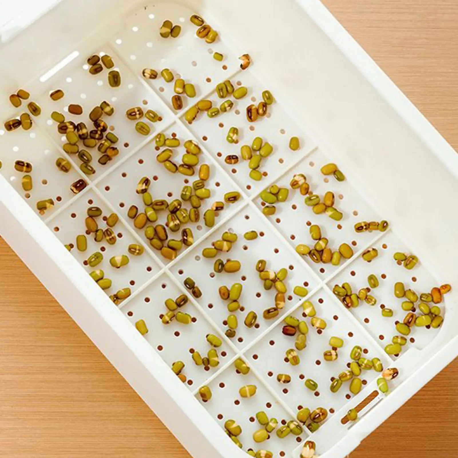 Sprouting Trays Soil-Free Sprouter With Lid Cultivation Germination Tray For Bean Pea Wheatgrass Growing Planting Cultivation