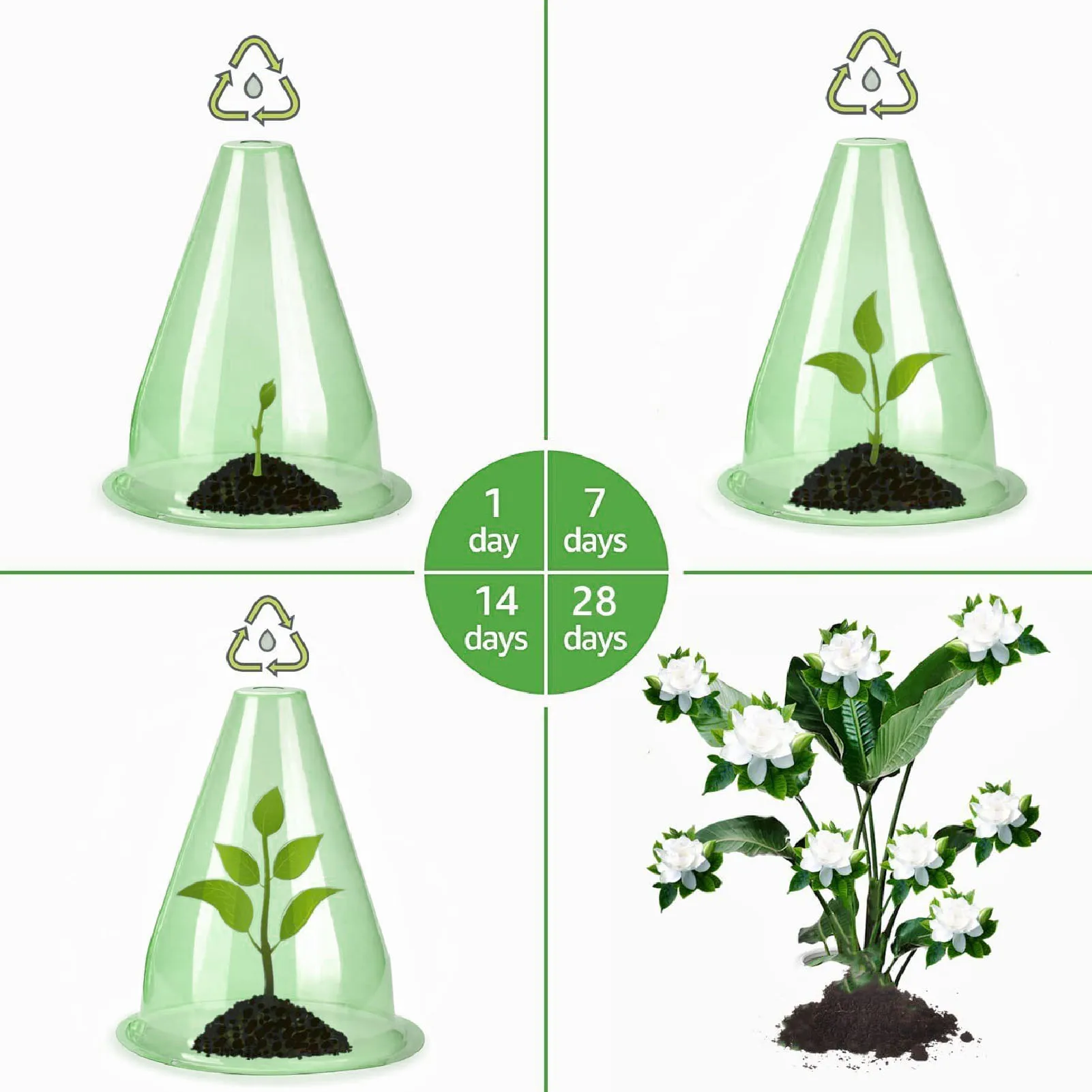 12Pcs Garden Cloches Plastic Multifunctional Plant Covers Protectors Dome Bell Transparent Jar Prevent Birds Frost for Courtyard