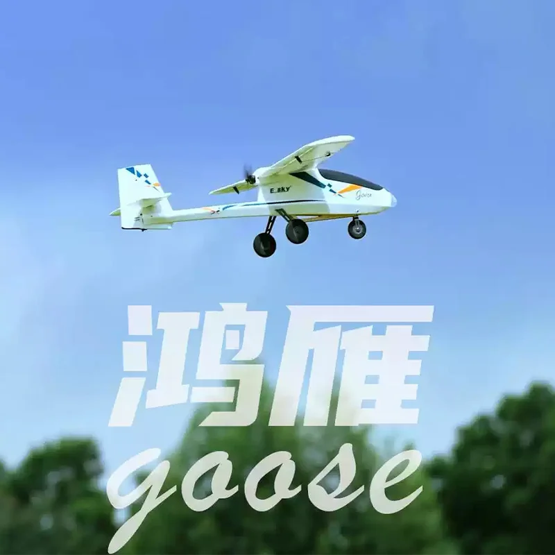 

New ESKY Wild Goose Fixed Wing Flight Control Edition Remote Control Model FPV Beginner'S Guide, Easy To Learn And Fly Model PNP