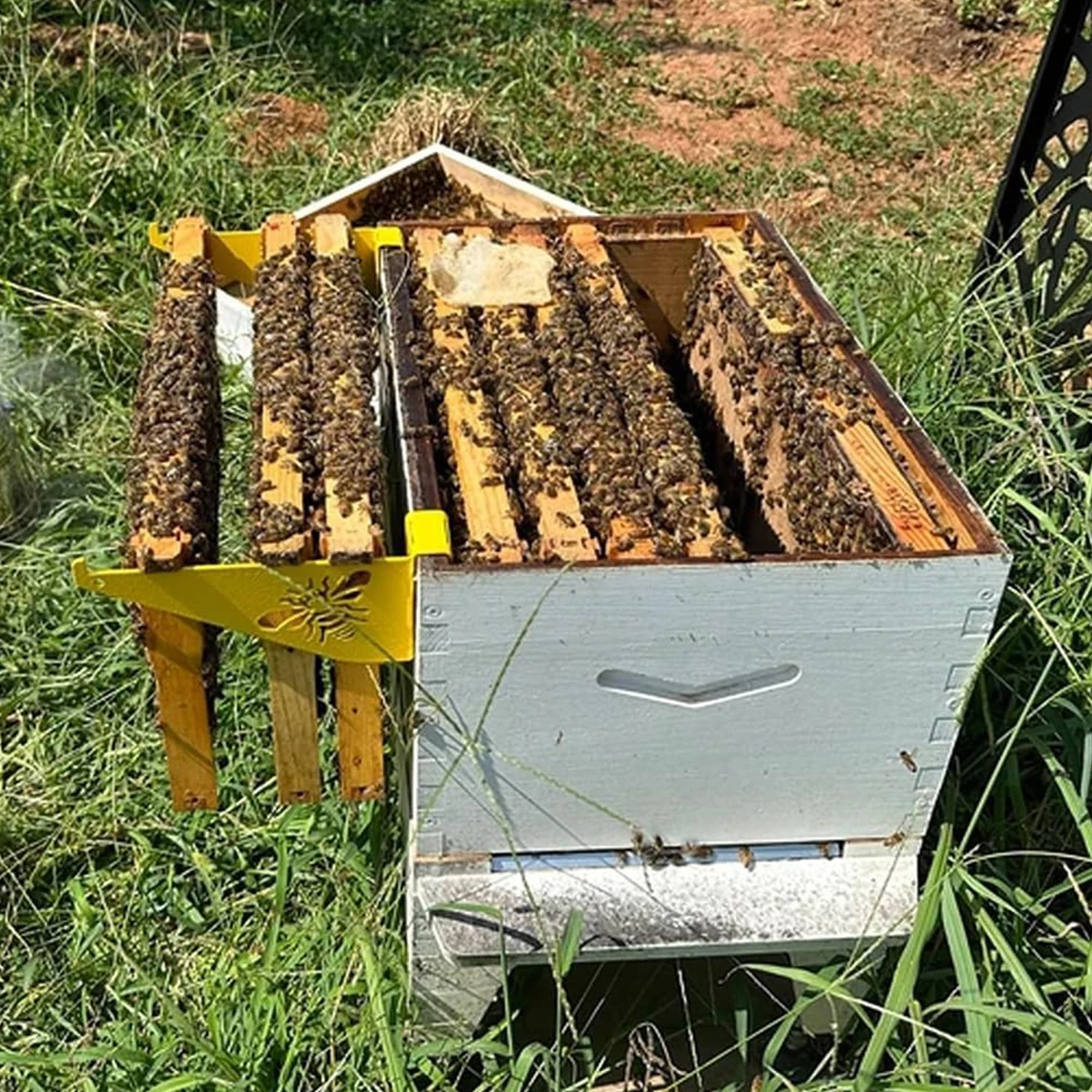 Soporte de inspección de colmena de abejas, soporte de marco de colmena de abejas de acero inoxidable, agarre para apicultura, herramientas de