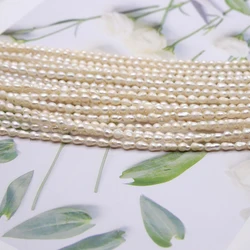 Punch Natural Freshwater Pearl Beaded Rice Shape White Pearl Loose Beads for Make Jewelry DIY Bracelet Necklace Accessories