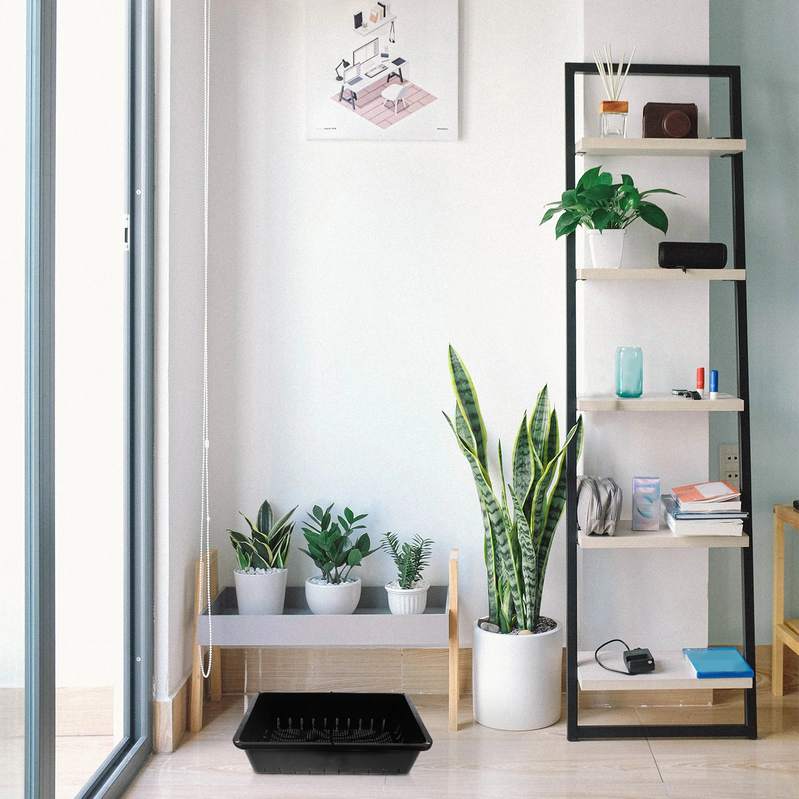 

2Pcs Premium Quality Plant Growing Trays High Bottom Design Drainage Holes Garden Propagator Set Black Trays Starter Kit