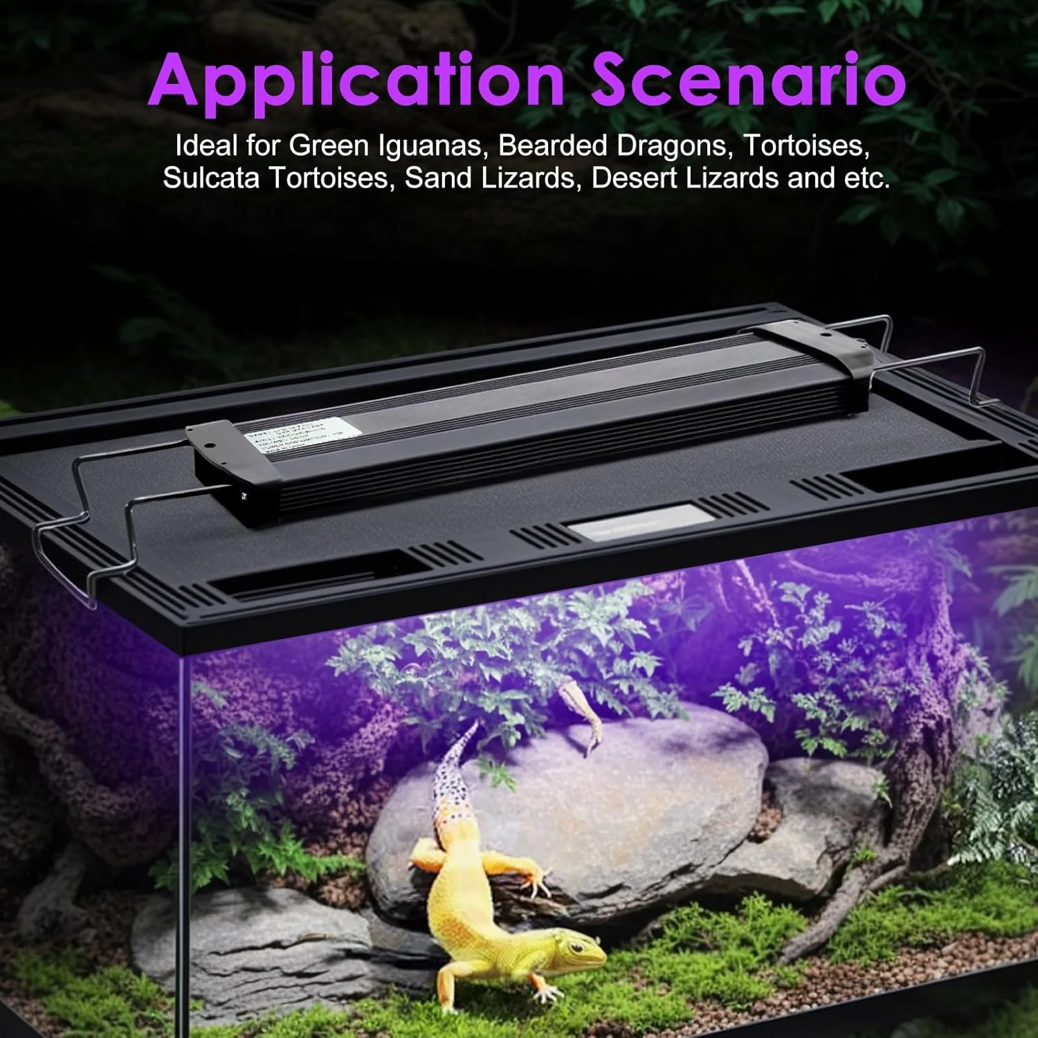 UVA+UVB Reptile Full Spectrum LED Light Turtle Lizard Snake Terrarium Sunbathe Heat Lamp 10.0 20.0 Sun Lamp Sunbathe Heat Lamp - Image 3