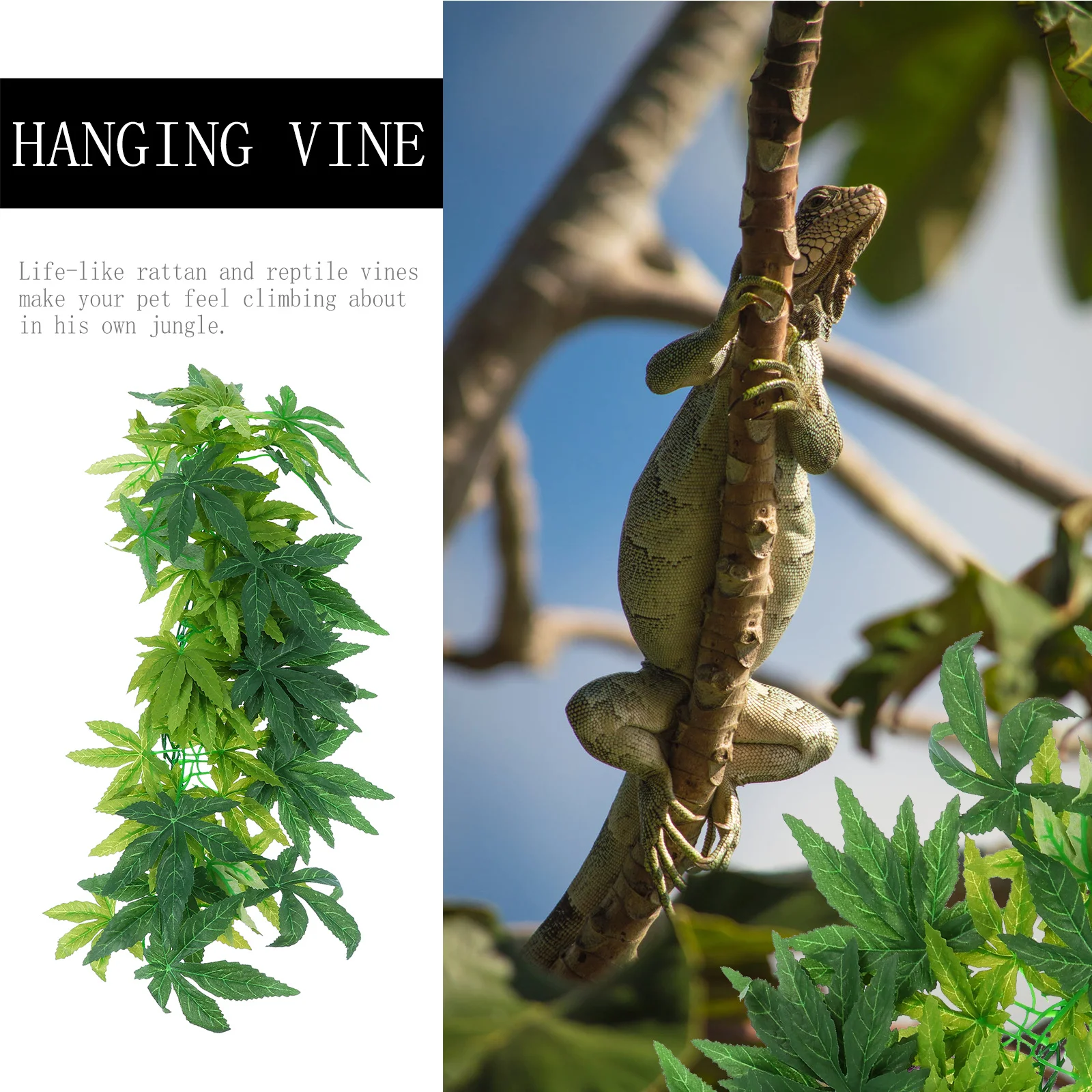 Simulation Plant Ra…