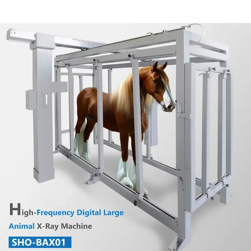 50KW 630MA Hot Sale Durable Veterinary High-Frequency Digital DR Large Animal X-Ray Machine