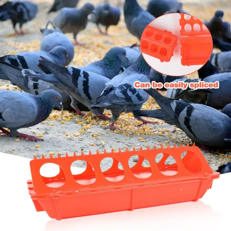 

Feed Trough Chicken Feeder Equipment Trough Chick Food Box Rutin Top Poultry Feeder Trough Quail Feeder No Mess For Quail Parrot