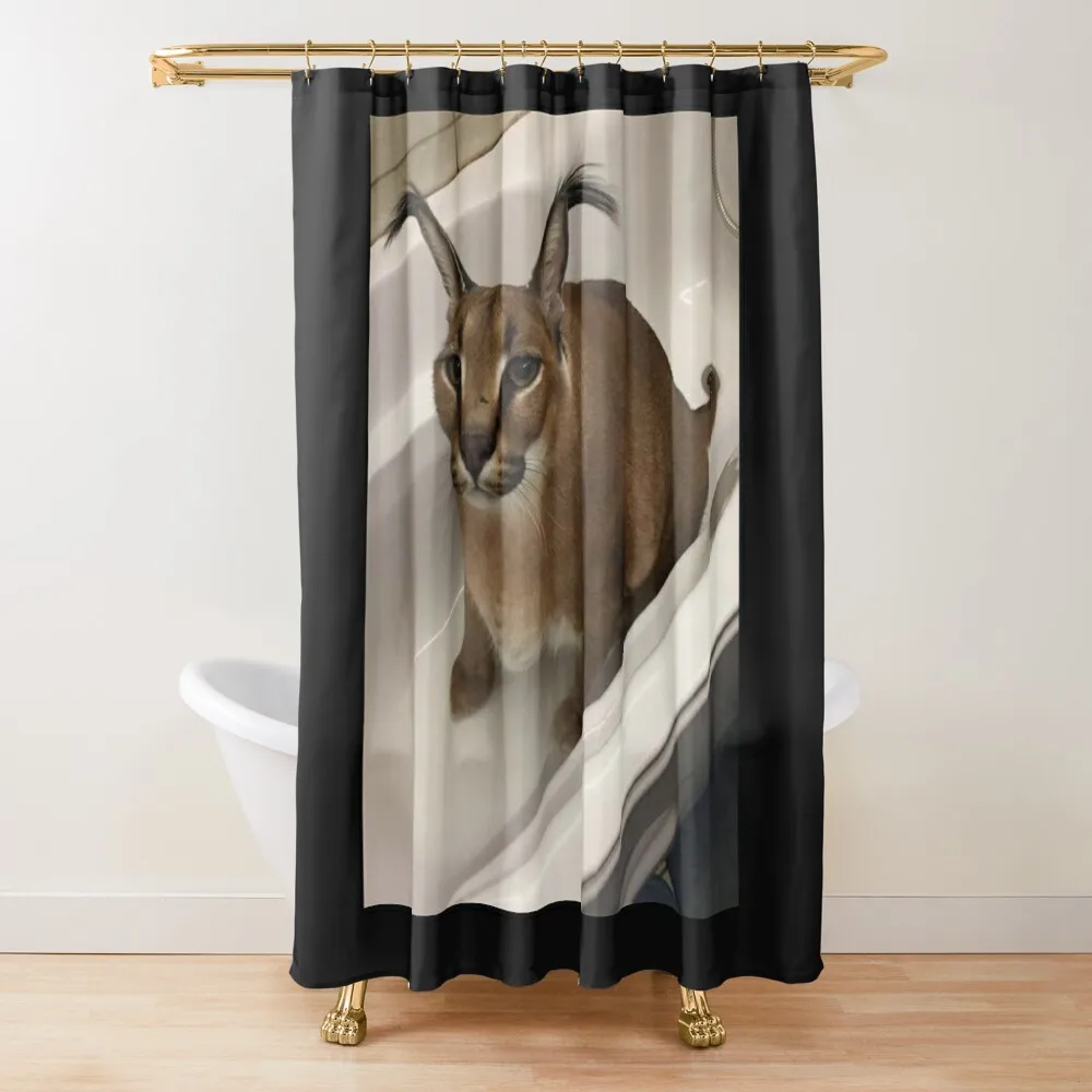 

Big Floppa Cat Meme Shower Curtain Bathroom Decor Bathroom And Shower Shower Bath For The Bathroom Curtain
