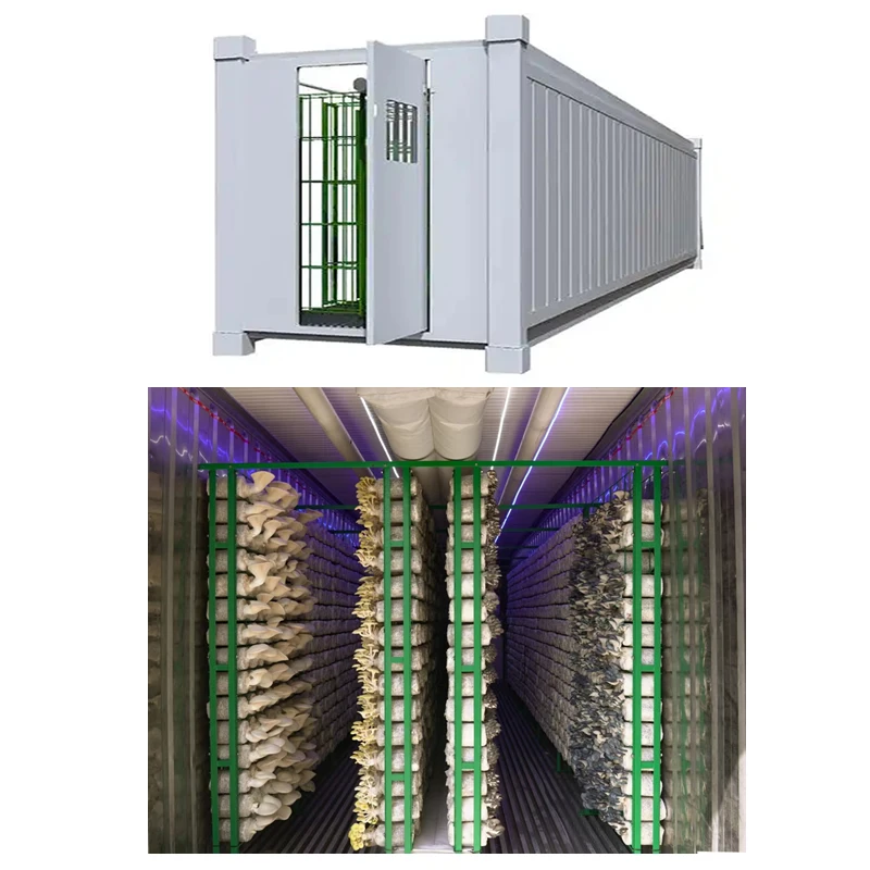 

Заводская умная грибная ферма, контейнер для доставки, камера для фруктов в виде грибов (доставка по морю)