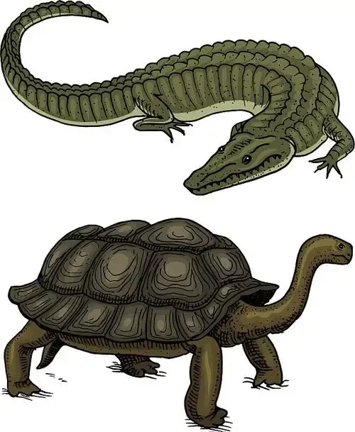 

ADU Racing CENTER DIFF MOUNT CNC 7075 T6 АЛЮМИНИЕВЫЙ ДЛЯ ARRMA 6S 1/8 И 1/7 RTR И EXB V6