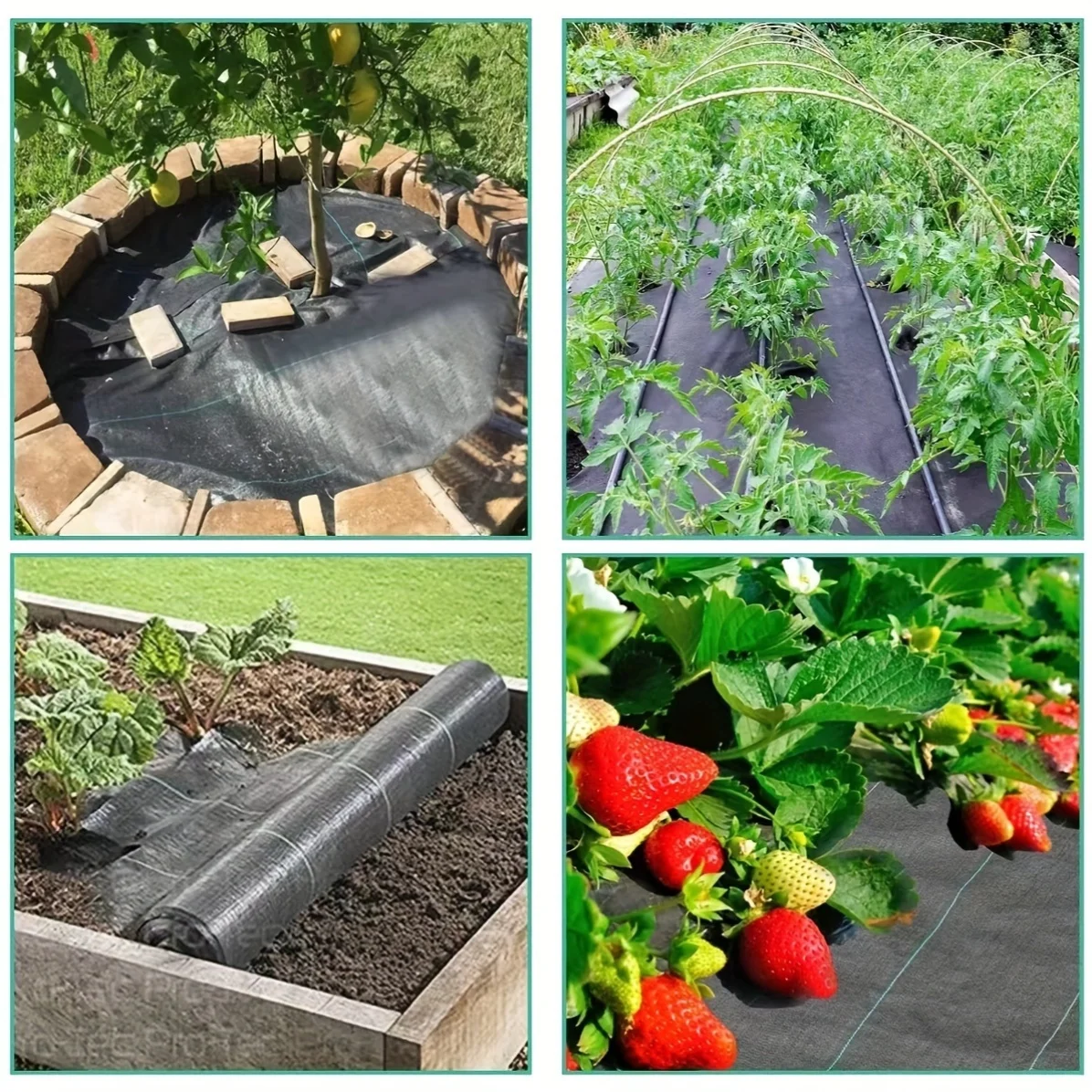 تستخدم للتحكم في الاعشاب، أدوا - مراجعة Smart Garden Greenhouse وسعره