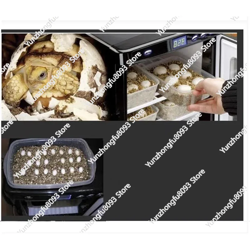 

Инкубатор для рептилий 25 л, цифровой, лабораторный, с функциями охлаждения и нагрева (5-60°C), подходит для рептилий