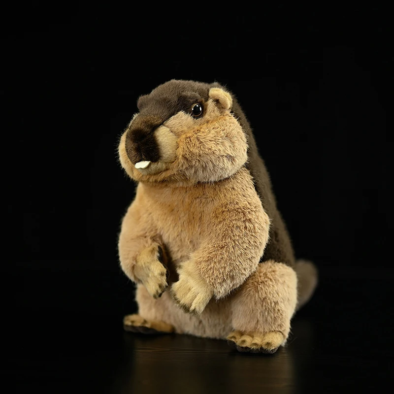 Cute Marmots Plush Toy High-Quality Marmota Realistic Soft Simulation Stuffed Doll Lifelike Animals Model Kid Gift