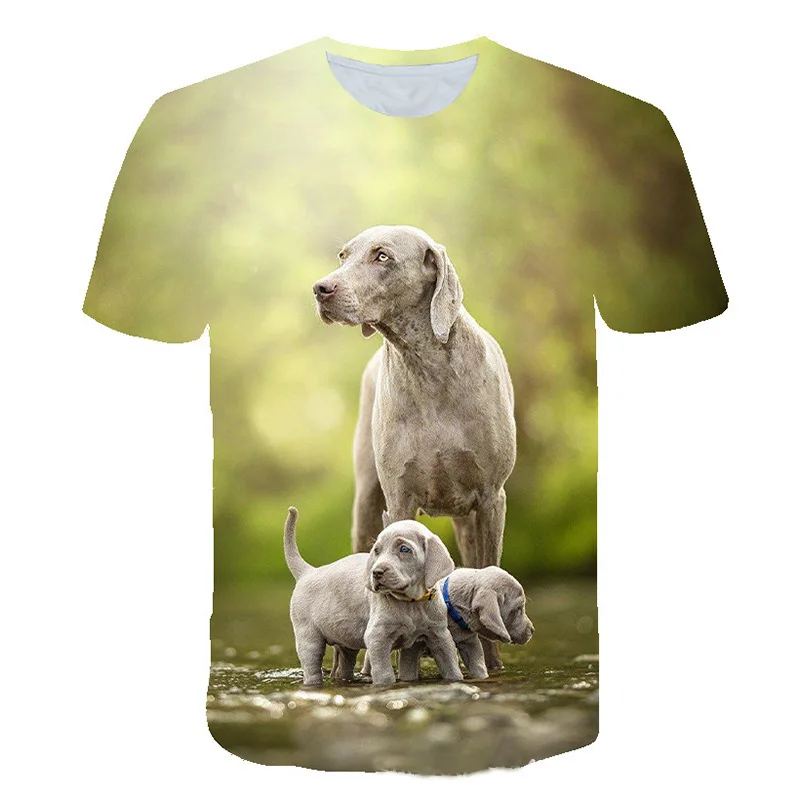 Pet Cats, Dogs and Wolves 3D Print Summer Tees Streetwear Crew Neck Short Sleeve Casual Oversized Men Women T-shirt Clothes