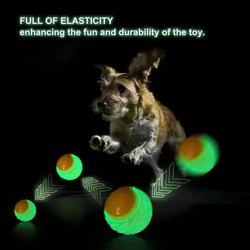 Thumbnail 3 - #37 Trending Dog Fetch Toys Right Now
