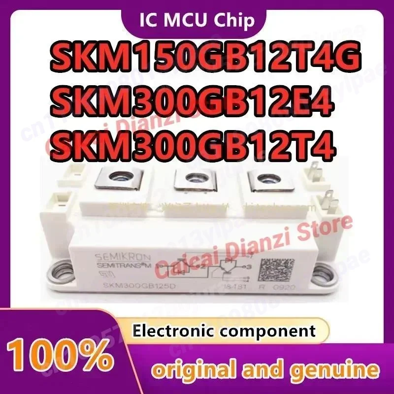 

Модули SKM300GB123D, SKM300GB125D, SKM300GB126D, SKM300GB124D, SKM150GB12T4G, SKM300GB12E4, SKM300GB12T4, SKM300GB128D в наличии