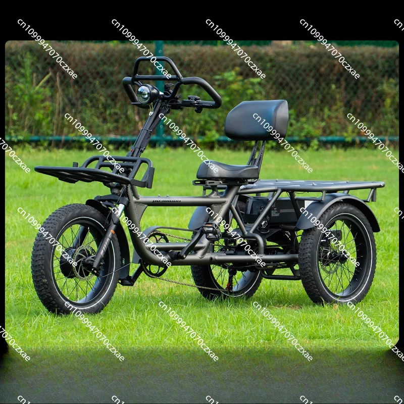 Power Tricycle Bicycle Electric Power Variable Speed Long-distance Travel