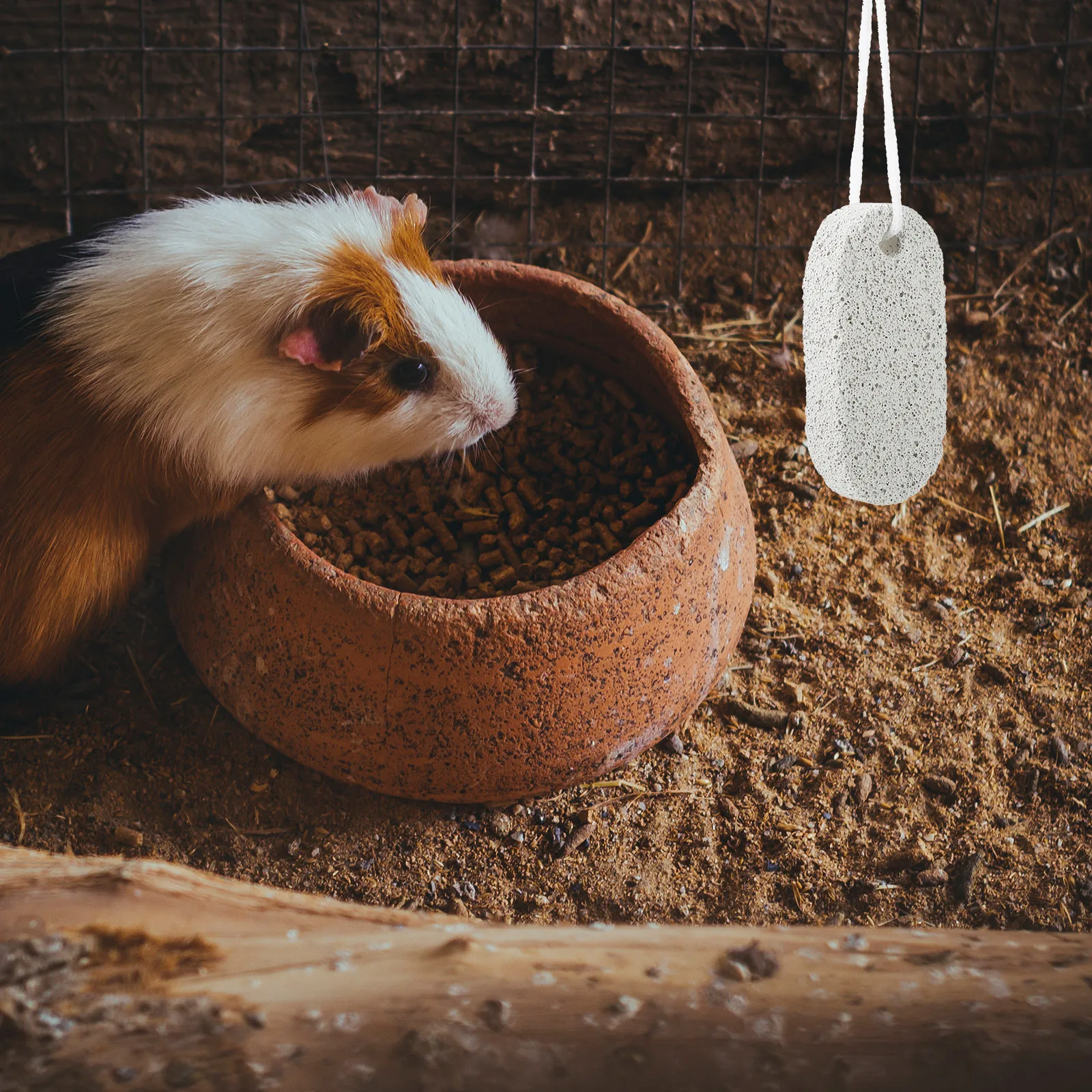 

5Pcs Volcanic Molar Stone for Rabbits Chewing Teeth Grinding Pet Dental Guinea Pig Chew Activity Stone