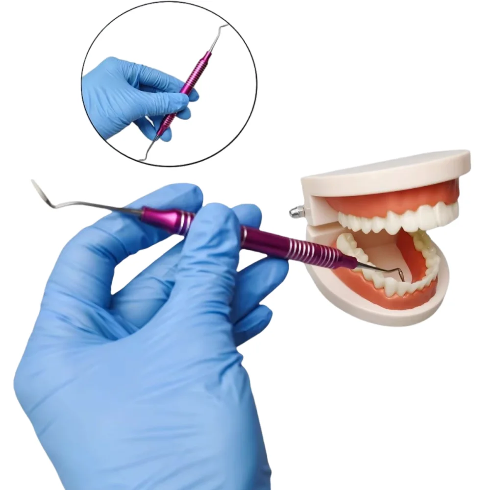 

5Pcs Dental Resin Spatulas Set, Composite Filling Head & Resin Filler, Aesthetic Repair Tools for Dental Bonding, Dentistry Lab