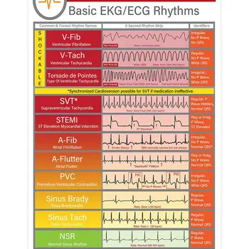 EKG-ECG 리듬 지식 수직 벽 아트 인쇄 포스터, 빈티지 금속 주석 사인 포스터, 학교 교육 바, 기본 플라크 