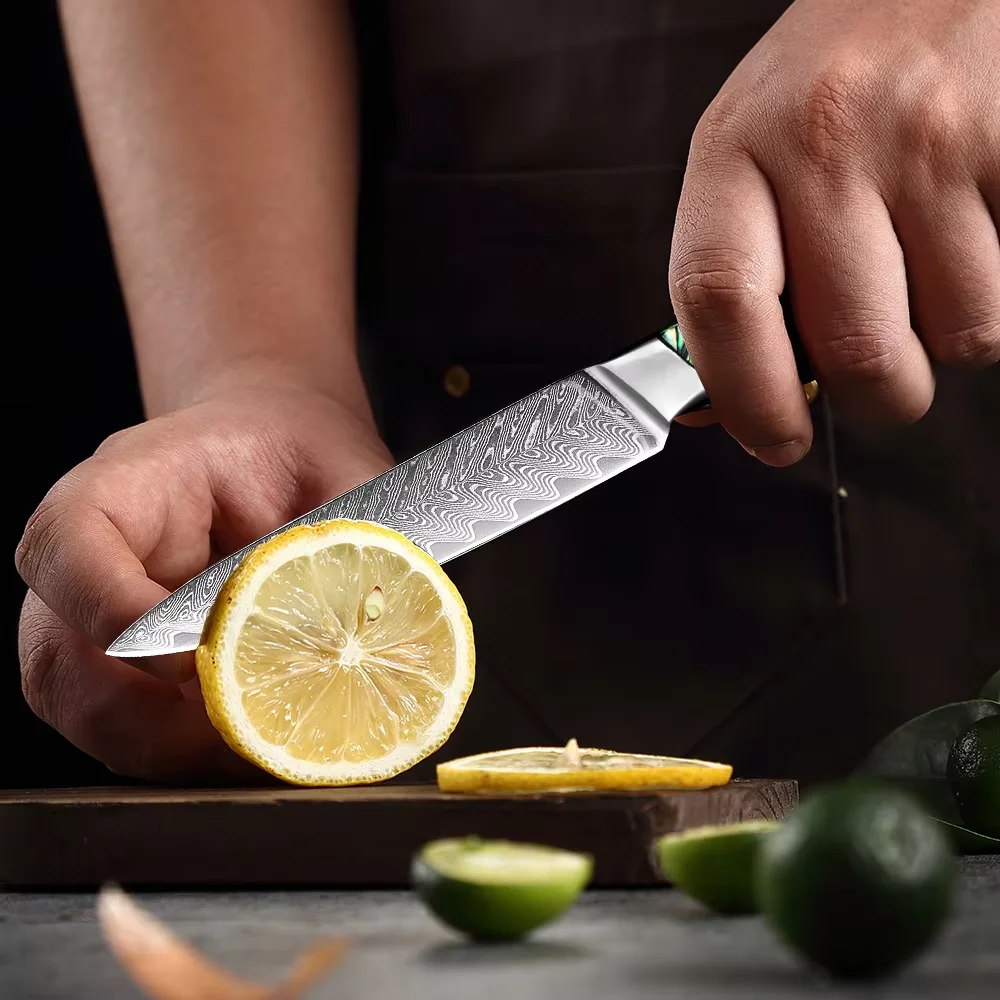 

Kitchen Utility Knife 5 Inch, Damascus Steel Small Chef Knife, Versatile Knife for Vegetable Fruit Meat ,Full Tang Paring Knife