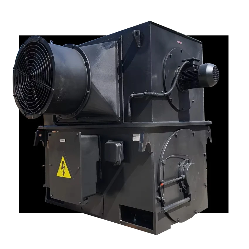 Starter Low Voltage High Power Ac Motor High-Voltage Electric Motors High-Voltage Motors