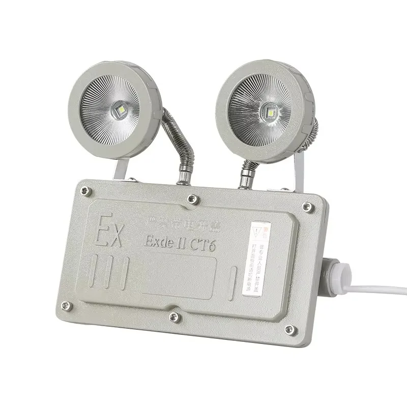 High-quality IP65 double-point explosion-proof emergency evacuation indicator light