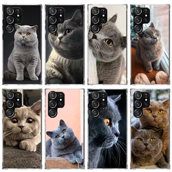 British Shorthair Cat Phone Case For Samsung Galaxy S26 S25 Edge S24 S23 Ultra S22 Plus S21 S20 FE Soft TPU Back Cover Funda Gal