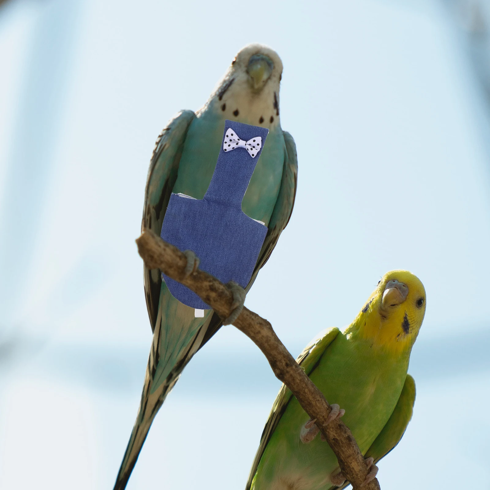 

2 Pcs Parrot Diaper Cockatiel Parakeet Clothing Nappies Pigeon Flight Suit Nappy Swing