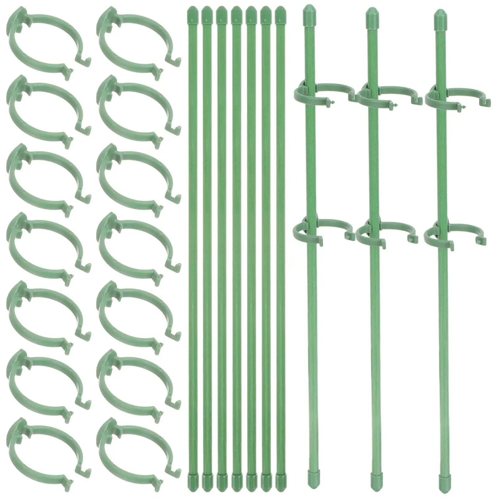 

10 Pcs 30cm Plant Support Sticks Single Stem Flower Stakes for Climbing Garden Orchid Poles Gardening Supports Outdoor