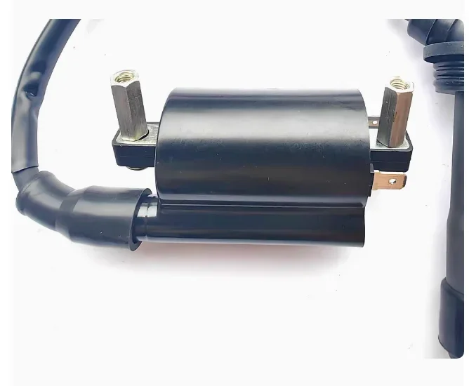 Picture 4: 150CC 250CC Motorcycle ignition coil ignitor for benelli TNT150 BJ150-29A/29B BJ150-31 150S TNT250 TNT25 BN251 TRK251