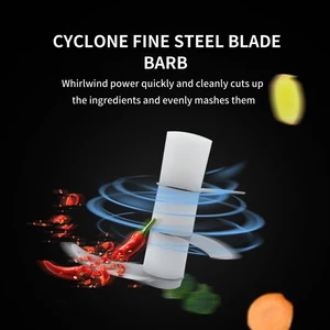 Multifunktionale Kochmaschine, automatische Haushaltsfleischschleife, ergänzende Lebensmittel für Babys, gehackte Knoblauchanierung 6 Hauptverkaufsmaschinen Crusher - №6