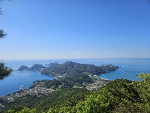 구매후기