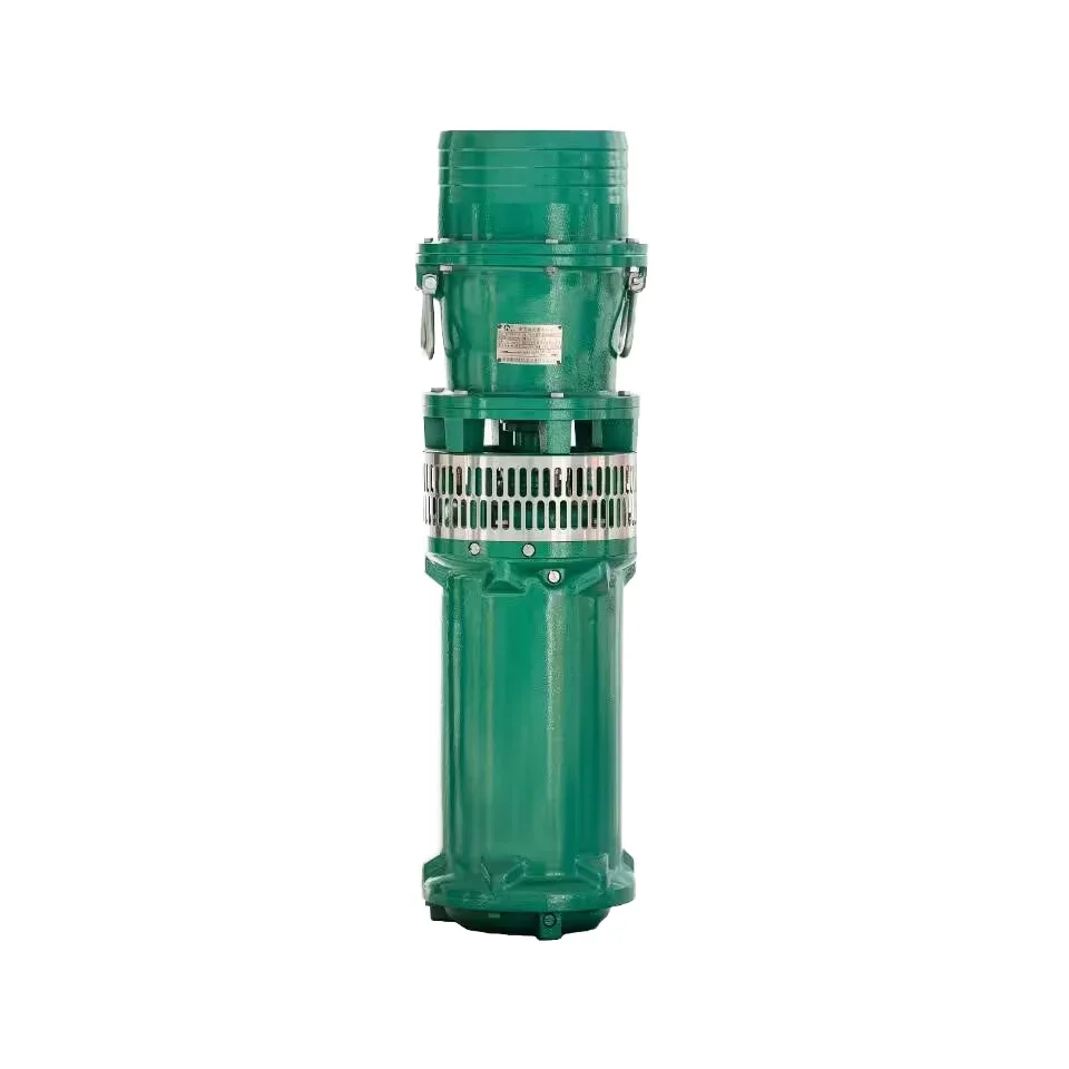

Cost-Effective High-Efficiency Submersible Pump - Oil-Immersed Durable for Urban Construction and Environmentally Friendly