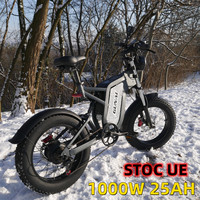 GUNAI 1000W Electric Bicycle Powerful Motor 20 Inch Off-Road Fat Tire with 48V 25Ah Removable Battery Men's Snow Cycling Ebike