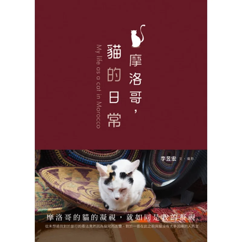 Morocco The Daily Life Of Cats Li Yuhong Huacheng Publishing 9789861923321 Book