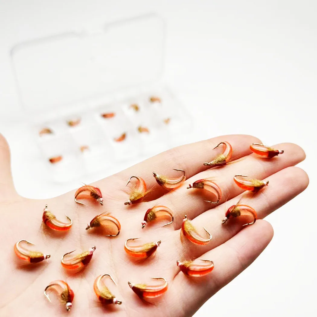 Fliegenfischen-Köder 10 Stück (mit Fliegenbox) Scud Nymph Red Bait Künstlicher Trockenköder für Forellen- und Barschangeln – Detail 3