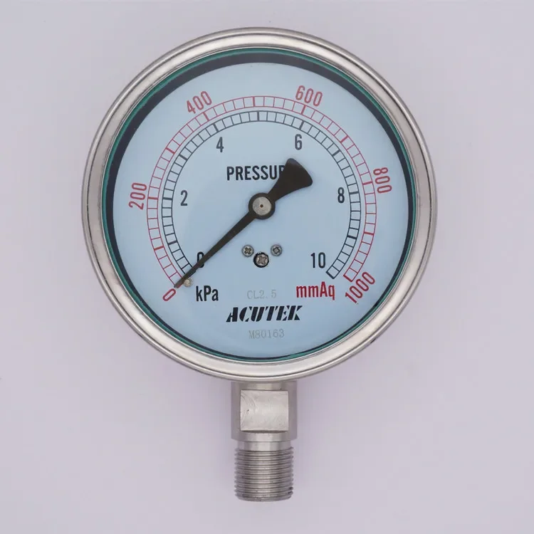 YE100BF -60-60 KpaM20*1.5 Stainless Steel Capsule Pressure Gauge Ammonia Micro Manometer Steam Meter for Gas