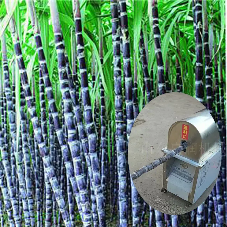 HCY Sugarcane Peeling Machine, Fully Automatic Small Sugarcane Peeler, New Model Sugarcane Peeling Electric Machine